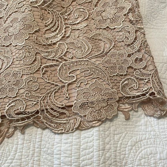 SOLD. New ADRIANNA PAPELL Champagne Lace Dress size 10 - Picture 15 of 17